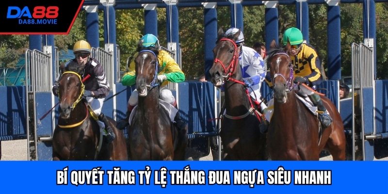 Bí quyết tăng tỷ lệ thắng đua ngựa siêu nhanh
